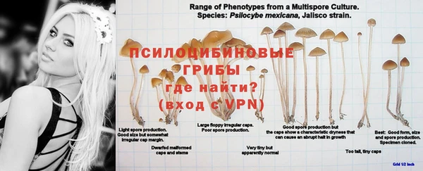 MESCALINE Медногорск